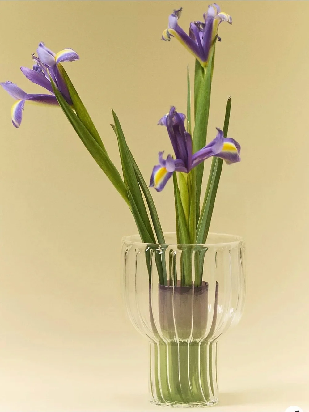 Anthropologie Lucia Neon Glass Vase Fluted Clear Outer Green & Purple Inside NWT